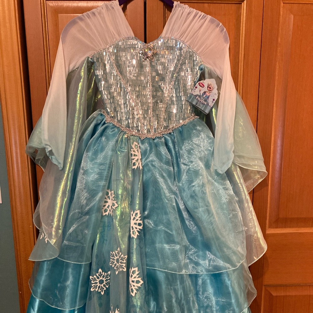 Disney store EXCLUSIVE Frozen deluxe Elsa costume